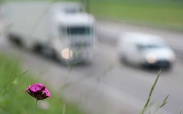 Más claridad en la UE para calcular las emisiones de CO2 en el transporte por carretera