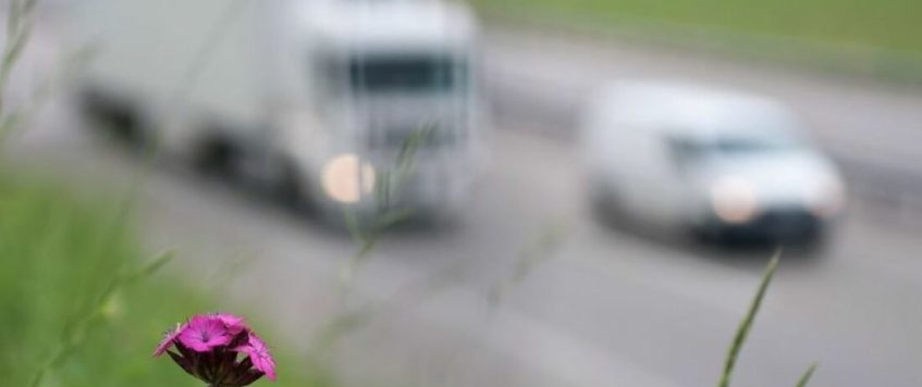 Más claridad en la UE para calcular las emisiones de CO2 en el transporte por carretera